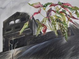 House with a polka dot plant, 70/100, aquarelle/charcoal/paper, 2021